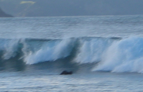 DSCN1690