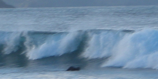 DSCN1690